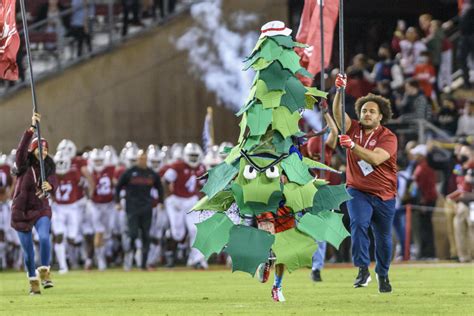 Stanford tree mascot suspended